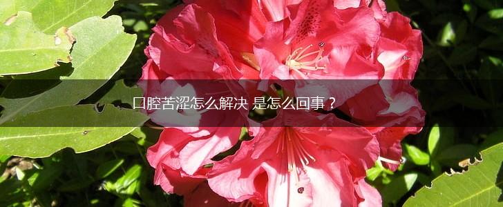 口腔苦涩怎么解决 是怎么回事？,第1张