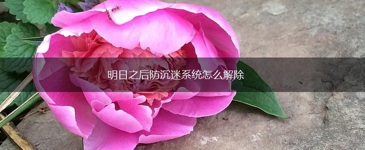 明日之后防沉迷系统怎么解除,第1张
