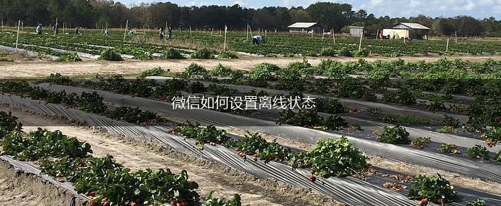 微信如何设置离线状态,第1张