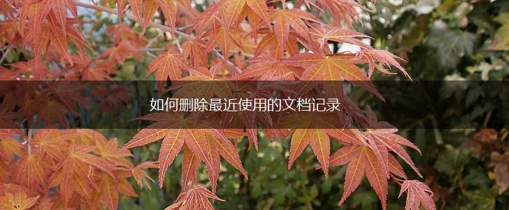 如何删除最近使用的文档记录,第1张