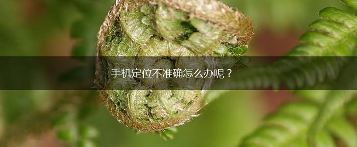手机定位不准确怎么办呢?,第1张 手机定位不准确怎么办呢?,第1张