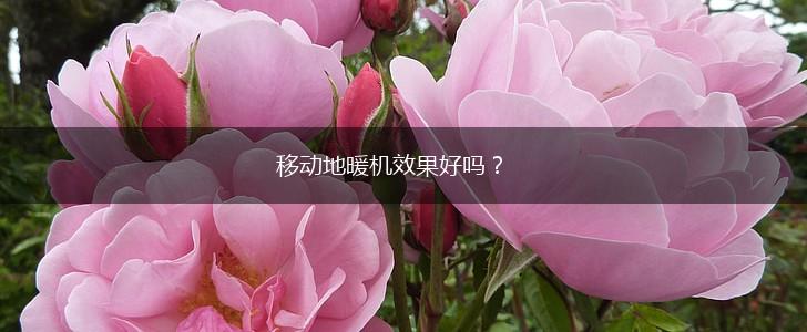 移动地暖机效果好吗？,第1张