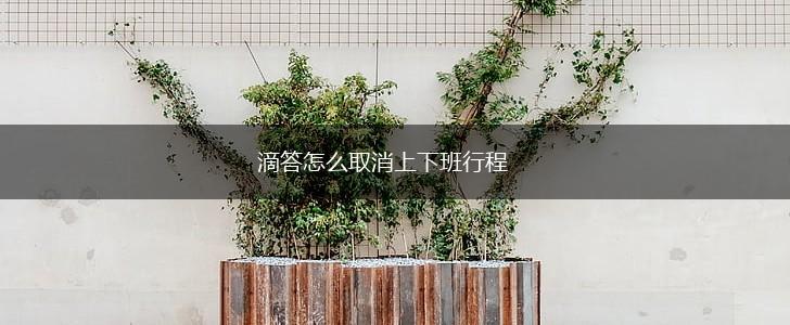 滴答怎么取消上下班行程,第1张