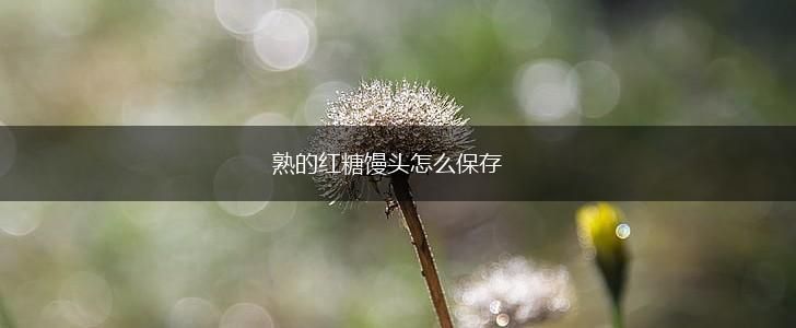 熟的红糖馒头怎么保存,第1张