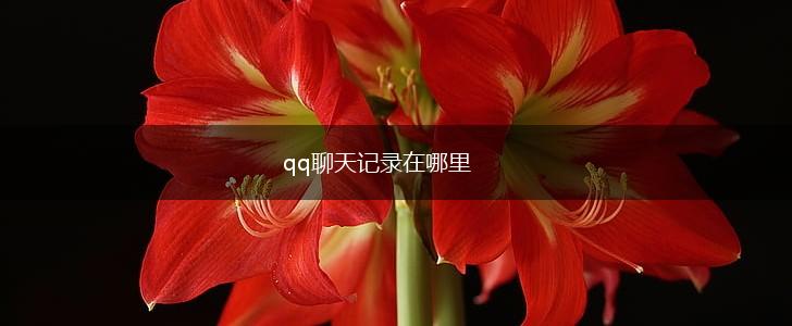 qq聊天记录在哪里,第1张