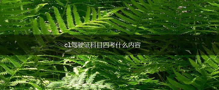c1驾驶证科目四考什么内容,第1张