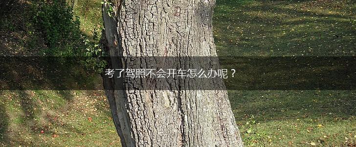考了驾照不会开车怎么办呢？,第1张
