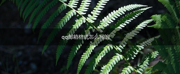 qq邮箱格式怎么写的,第1张