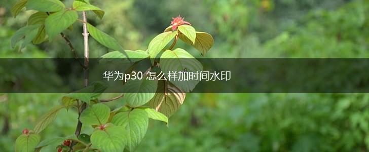 华为p30 怎么样加时间水印,第1张