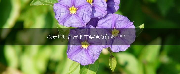 稳定理财产品的主要特点有哪一些,第1张