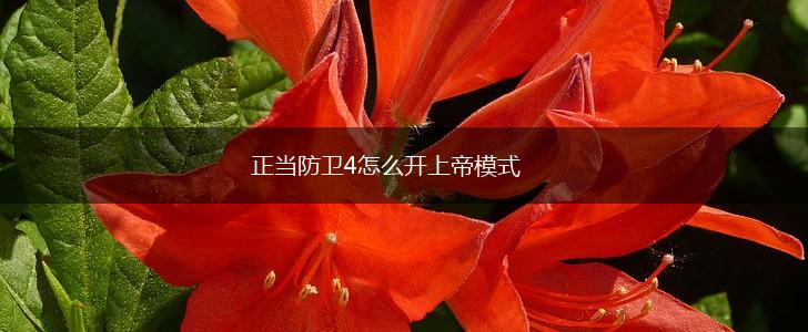 正当防卫4怎么开上帝模式,第1张 正当防卫4怎么开上帝模式,第1张
