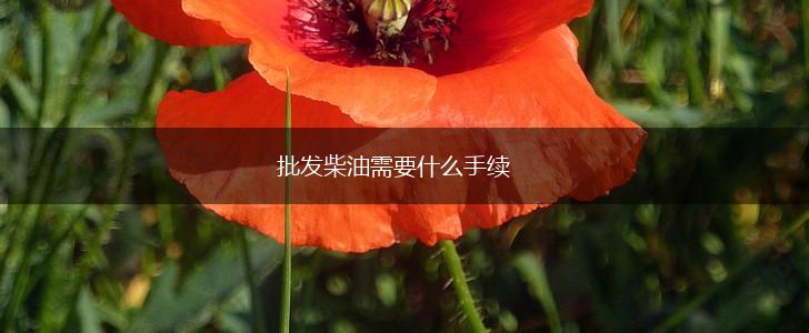 批发柴油需要什么手续,第1张