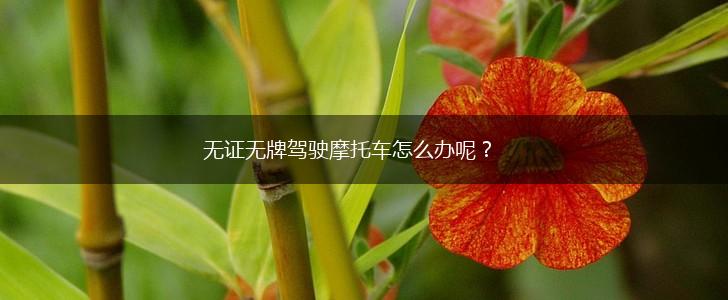 无证无牌驾驶摩托车怎么办呢？,第1张