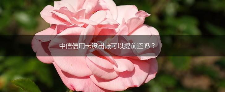 中信信用卡没出账可以提前还吗？,第1张