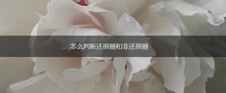 怎么判断还原糖和非还原糖,第1张