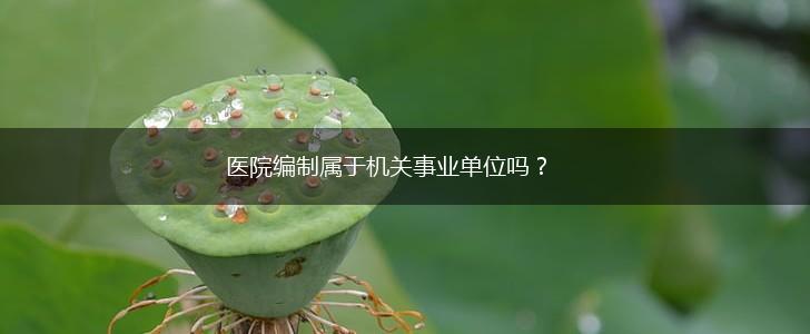 医院编制属于机关事业单位吗?,第1张 医院编制属于机关事业单位吗?,第1张