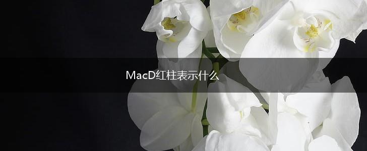 MacD红柱表示什么,第1张