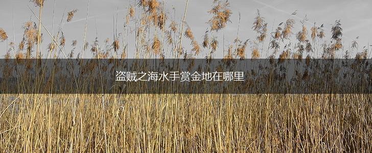 盗贼之海水手赏金地在哪里,第1张