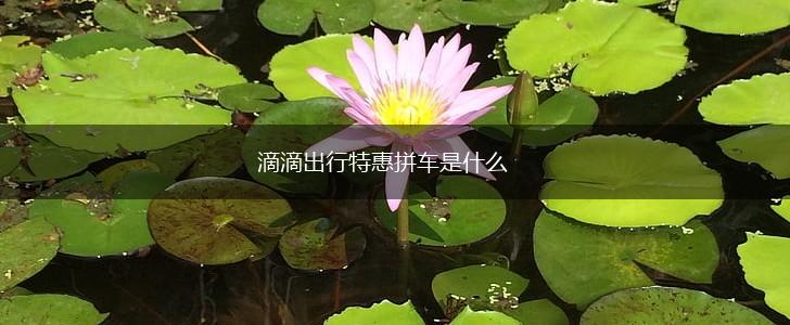 滴滴出行特惠拼车是什么,第1张