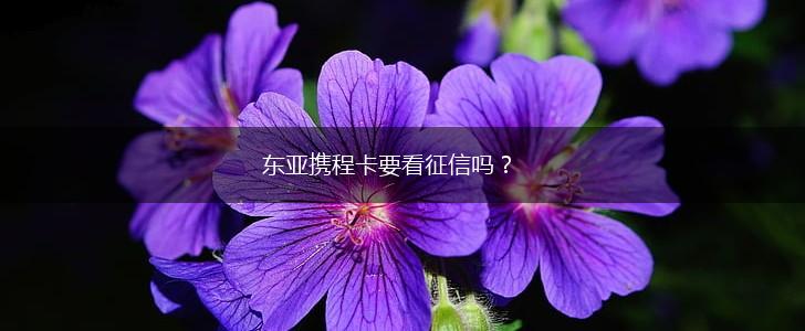 东亚携程卡要看征信吗？,第1张