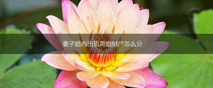 妻子婚内出轨离婚财产怎么分,第1张