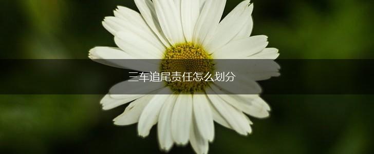 三车追尾责任怎么划分,第1张