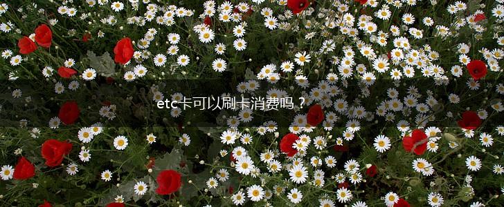 etc卡可以刷卡消费吗？,第1张