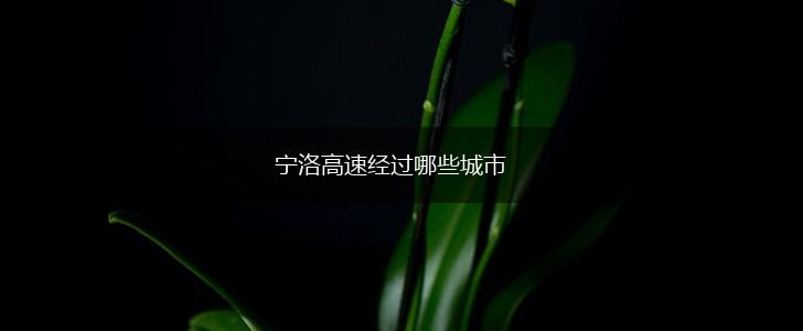 宁洛高速经过哪些城市,第1张