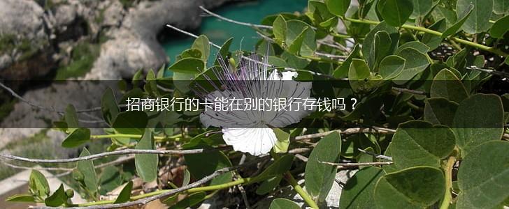 招商银行的卡能在别的银行存钱吗？,第1张