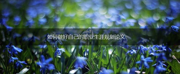 如何做好自己的职业生涯规划论文,第1张