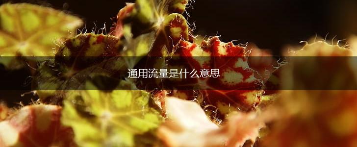 通用流量是什么意思,第1张