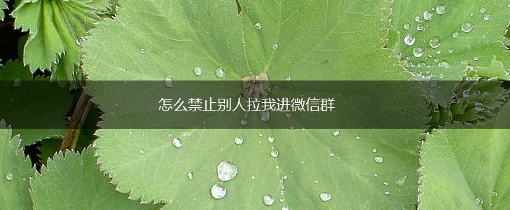 怎么禁止别人拉我进微信群,第1张