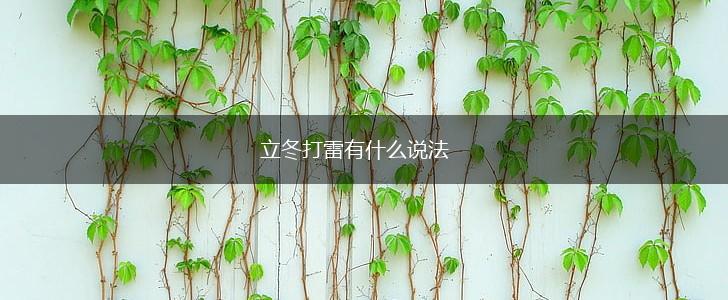 立冬打雷有什么说法,第1张
