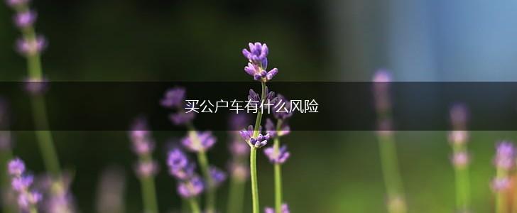 买公户车有什么风险,第1张