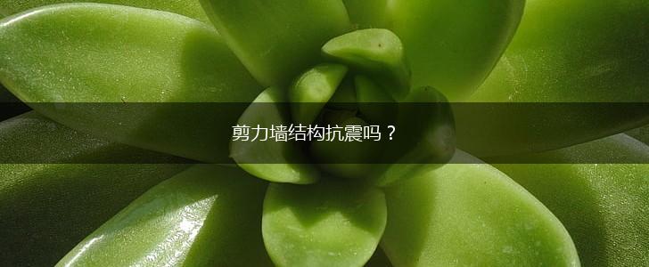 剪力墙结构抗震吗？,第1张