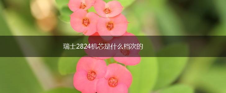 瑞士2824机芯是什么档次的,第1张