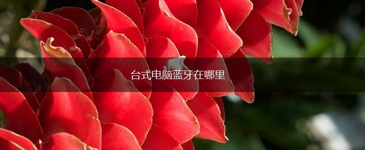台式电脑蓝牙在哪里,第1张
