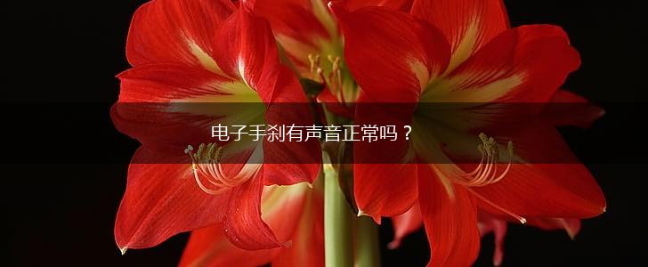 电子手刹有声音正常吗？,第1张