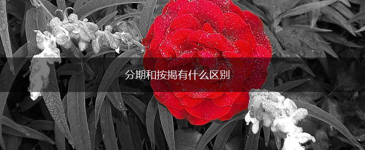分期和按揭有什么区别,第1张