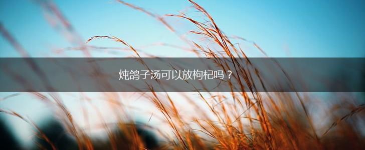 炖鸽子汤可以放枸杞吗？,第1张