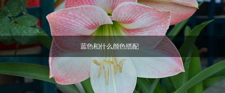 蓝色和什么颜色搭配,第1张