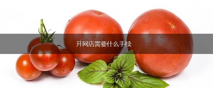 开网店需要什么手续,第1张