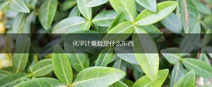 化学计量数是什么东西,第1张