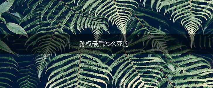 孙权最后怎么死的,第1张