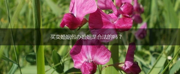 买卖婚姻包办婚姻是合法的吗？,第1张
