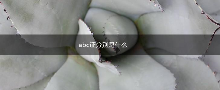 abc证分别是什么,第1张