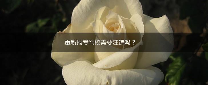 重新报考驾校需要注销吗？,第1张