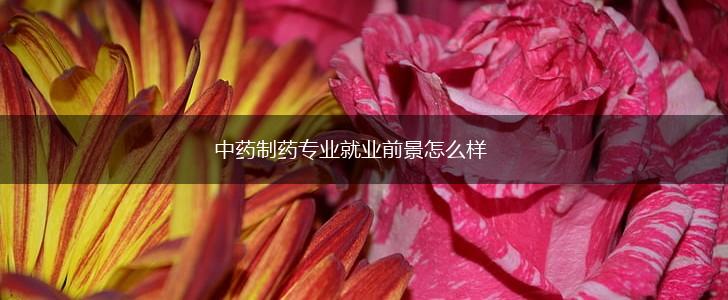 中药制药专业就业前景怎么样,第1张