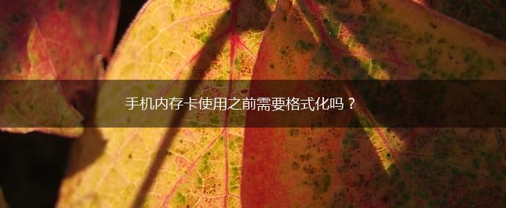 手机内存卡使用之前需要格式化吗?,第1张 手机内存卡使用之前需要格式化吗?,第1张