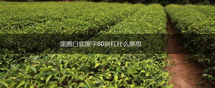 黑圈白底黑字60斜杠什么意思,第1张